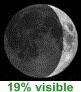 19% visible